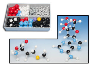 Modelo molecular bioquimica para estudiante 370522