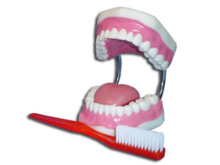 Dentadura para aseo dental
